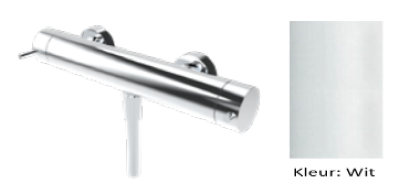 Waterevolution Flow douchthermostaat met douchegarnituur rond wit T140TNRBR