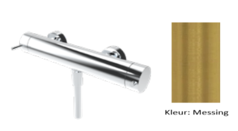 Waterevolution Flow termostat za prho z okroglim kompletom za prho, medenina, naravni, T140TNRLE