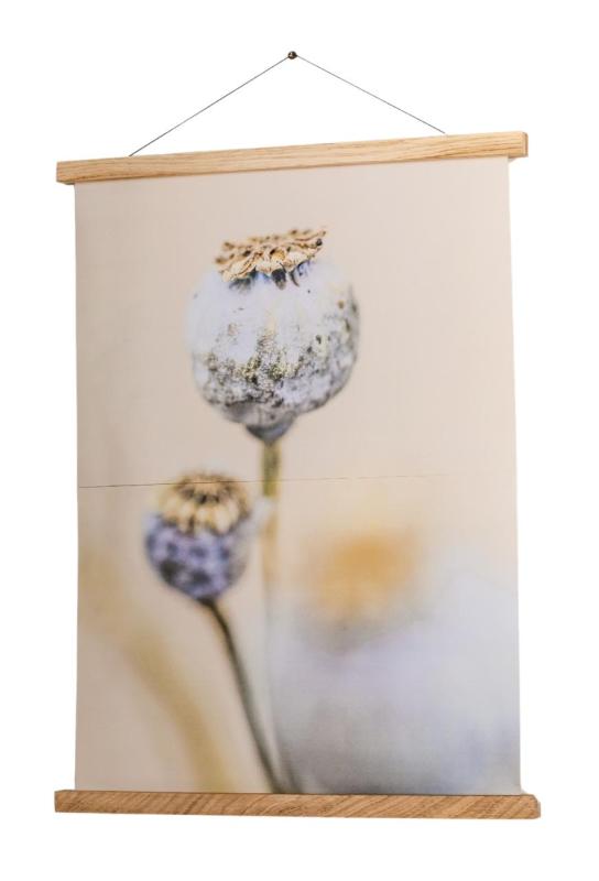 Woodsea Frame M - Magnetni okvir iz hrastovega lesa M (A3) 1208971604