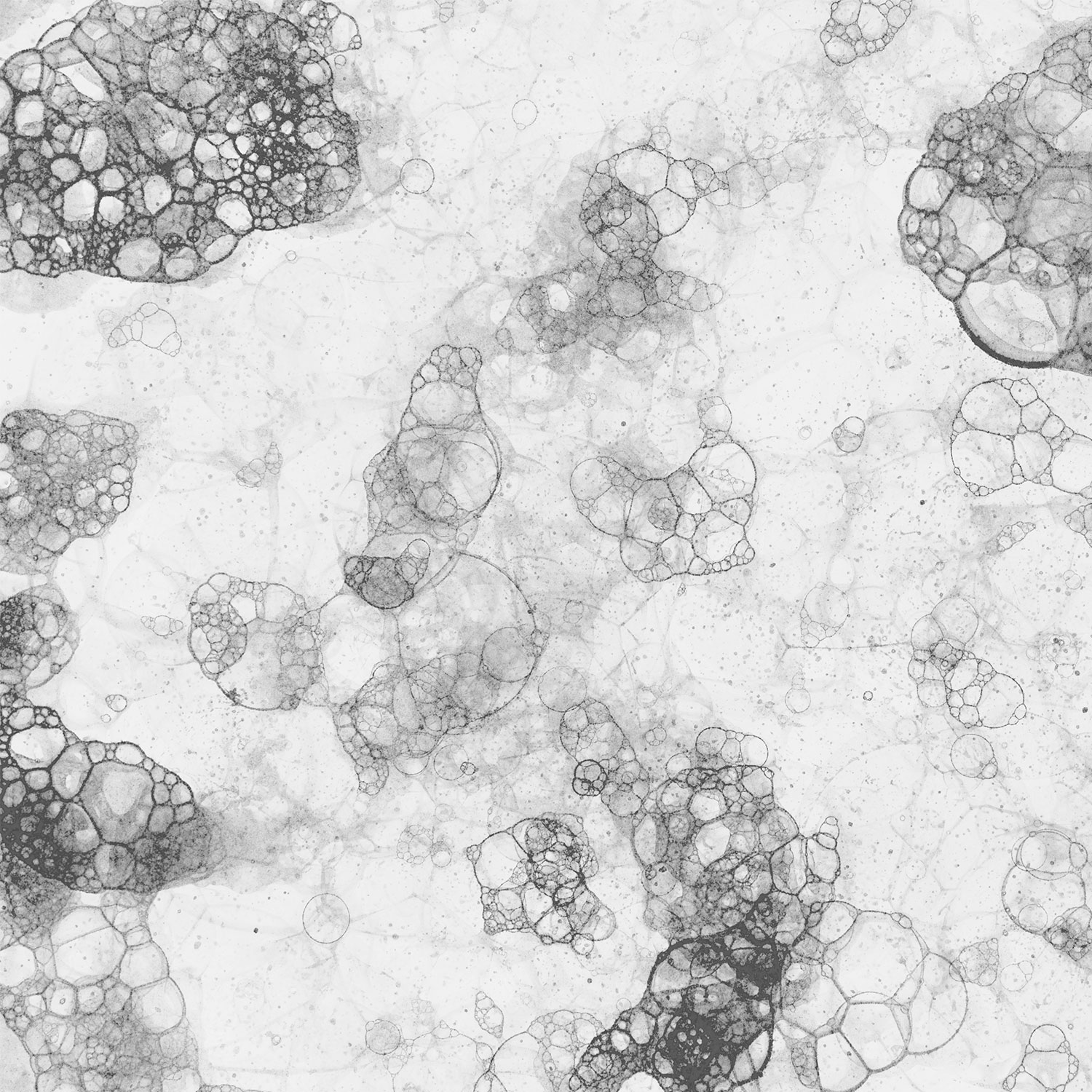 Preprečevanje in Odstranjevanje Plesni v Vašem Koritu: Ključni Nasveti za Čisto in Zdravo Kuhinjo